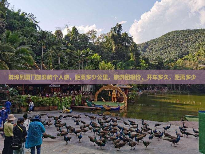 蚌埠到厦门鼓浪屿个人游