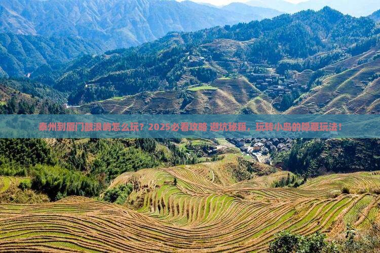 泰州到厦门鼓浪屿哪里玩