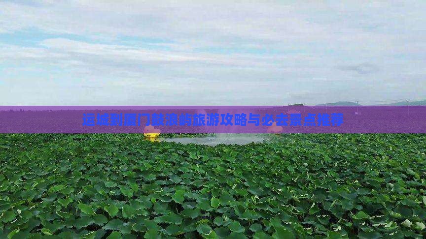 运城去厦门鼓浪屿个人游