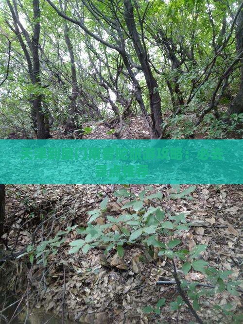 天津到厦门南普陀必去地