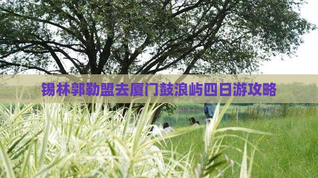 锡林郭勒盟去厦门鼓浪屿四日游