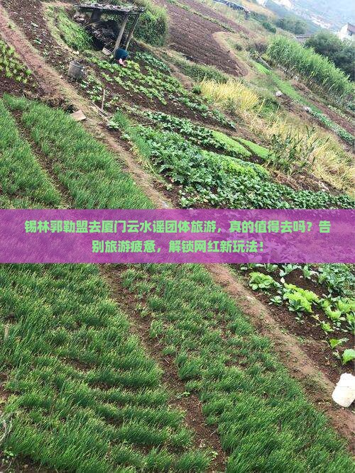 锡林郭勒盟去厦门云水谣团体旅游
