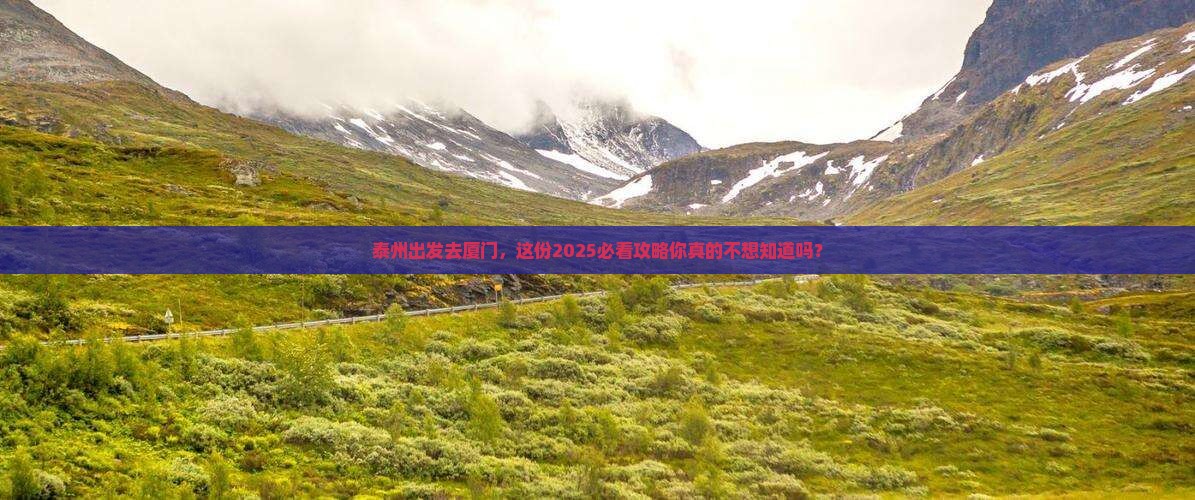 泰州到厦门旅行社