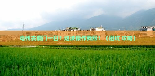 亳州去厦门一日