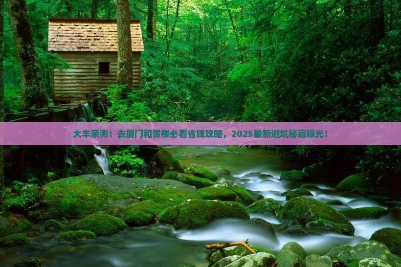 大丰去厦门和贵楼景点