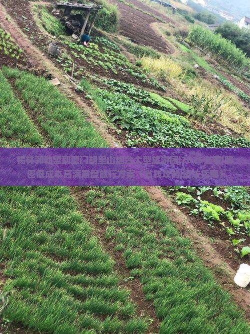 锡林郭勒盟到厦门胡里山炮台大型旅游团