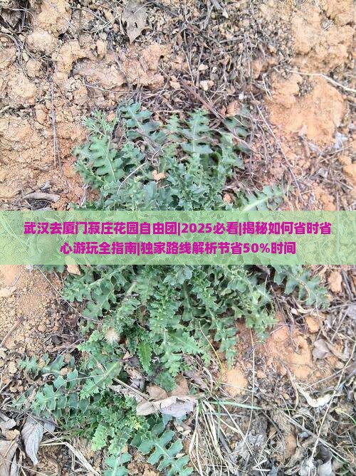 武汉去厦门菽庄花园自由团