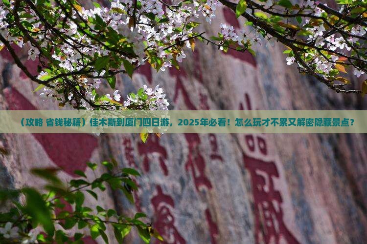 佳木斯到厦门四日游