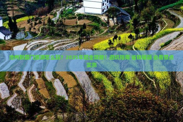 沧州到厦门旅游