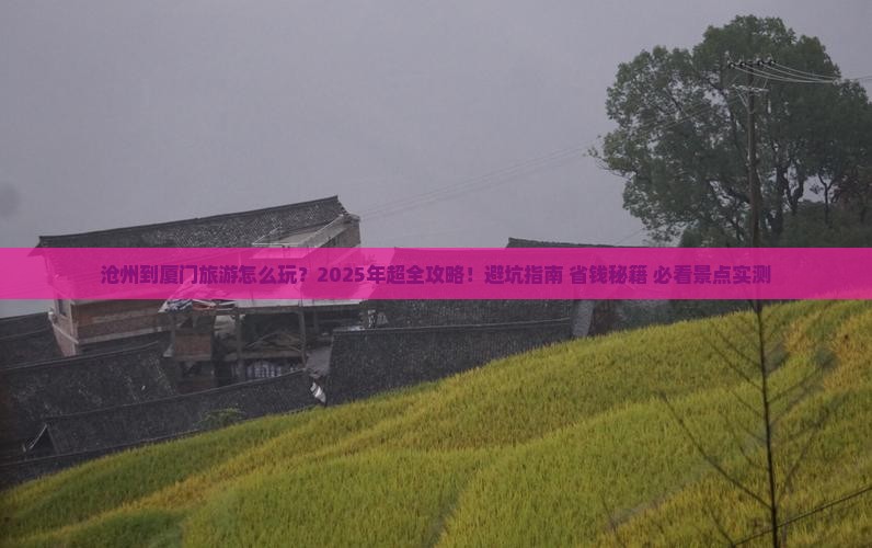 沧州到厦门旅游