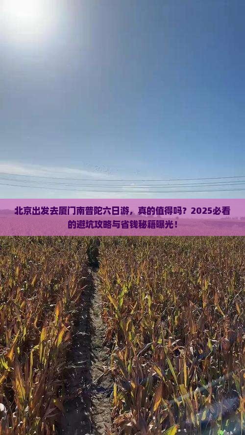 北京去厦门南普陀六日游