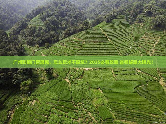广州到厦门曾厝埯门票