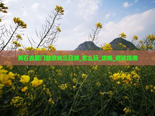 黄石去厦门鼓浪屿三日游