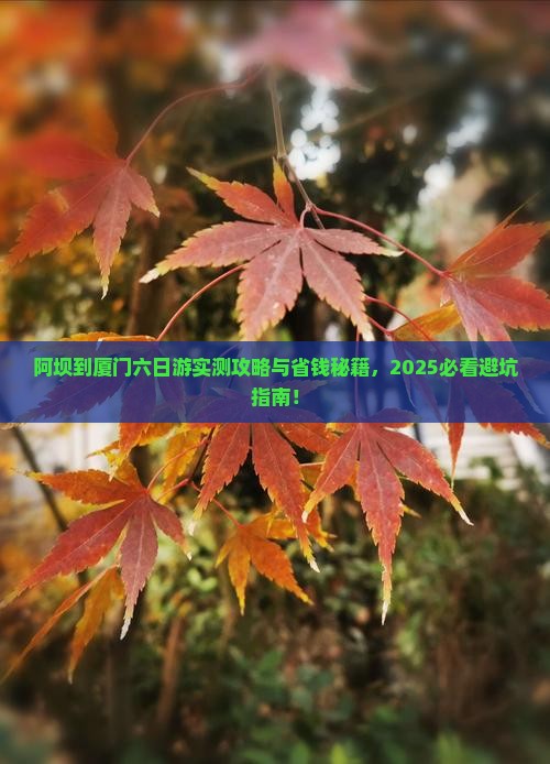 阿坝到厦门六日游