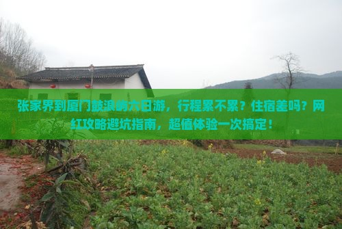 张家界到厦门鼓浪屿六日游