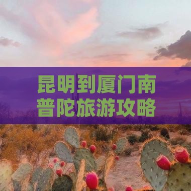 昆明到厦门南普陀自由团