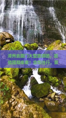 漳州去厦门大型旅游团