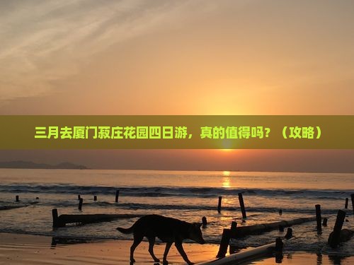 三月到厦门菽庄花园四日游