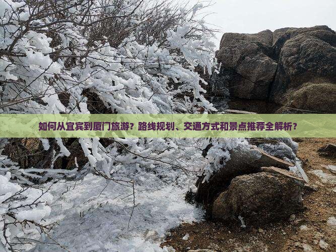 宜宾到厦门攻略