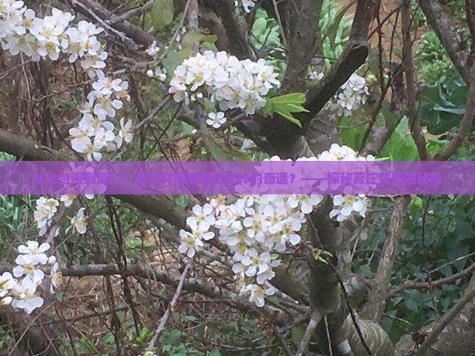 七台河到厦门菽庄花园二日游