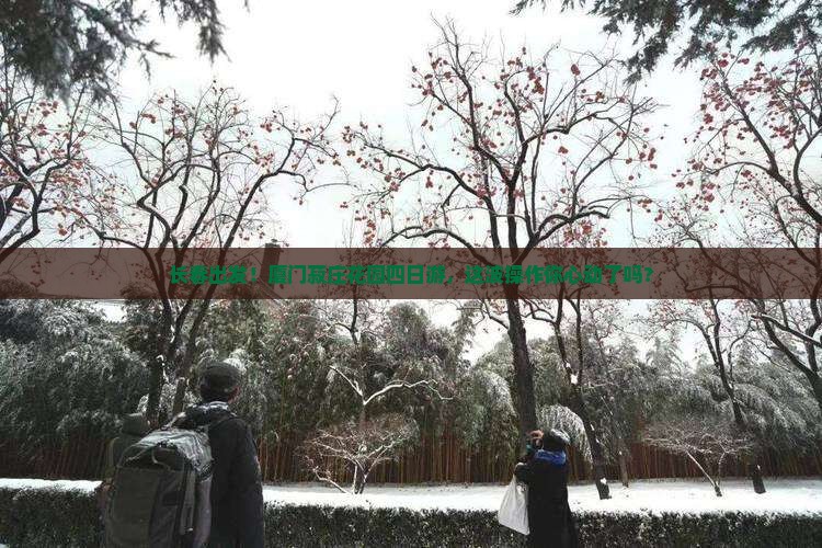 长春去厦门菽庄花园四日游