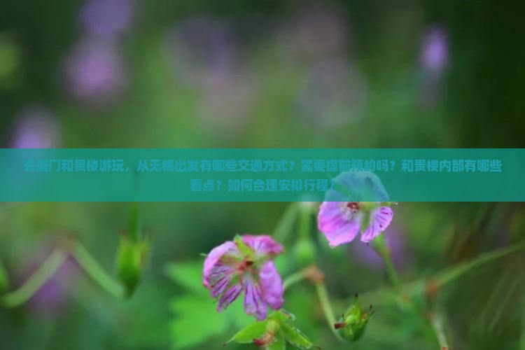 无锡去厦门和贵楼攻略