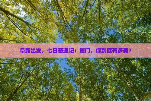 阜新去厦门七日游