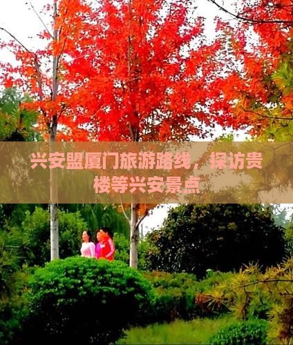 兴安盟去厦门和贵楼旅游