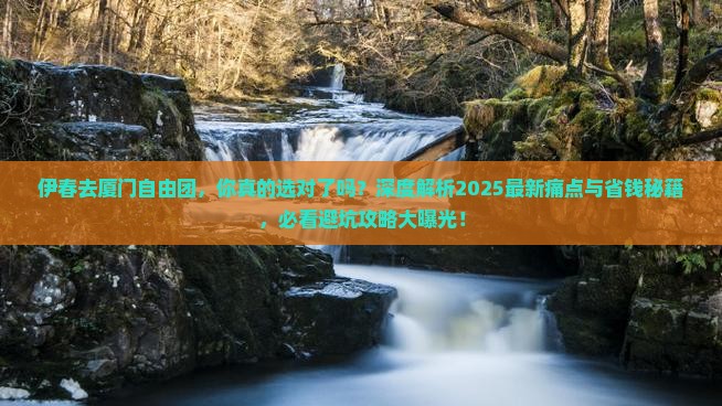 伊春去厦门自由团