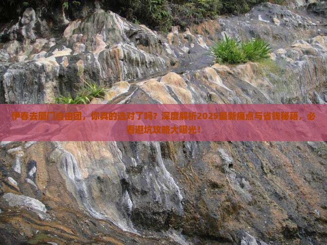 伊春去厦门自由团