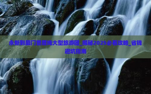 永新到厦门曾厝埯大型旅游团