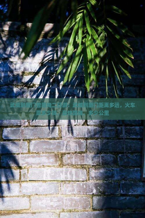 武威到厦门曾厝埯二日游