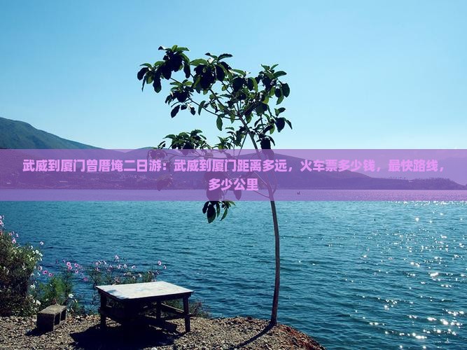 武威到厦门曾厝埯二日游
