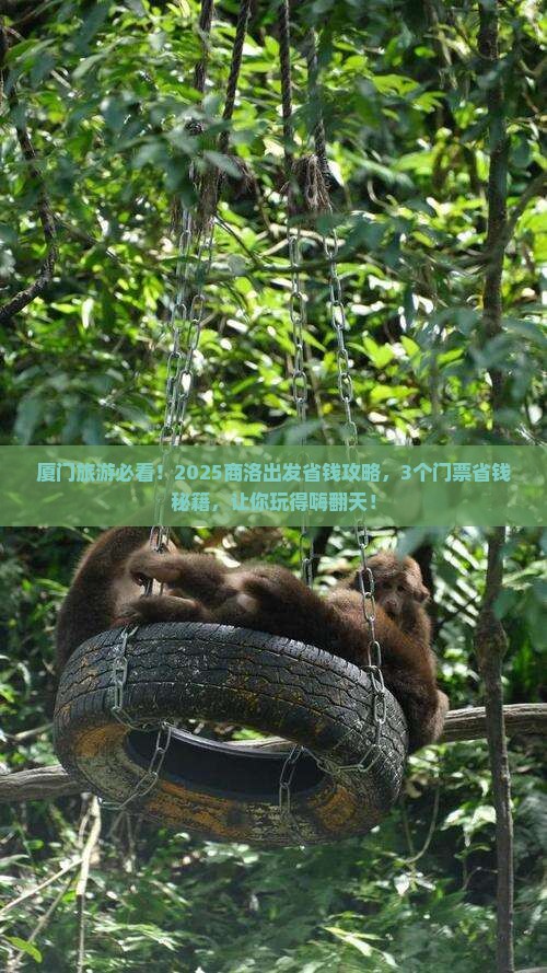 商洛去厦门门票