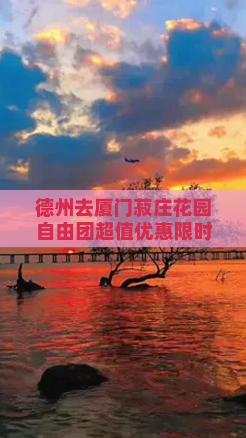 德州去厦门菽庄花园自由团