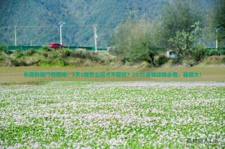 东莞到厦门曾厝埯旅行社 东莞到厦门曾厝埯旅行社