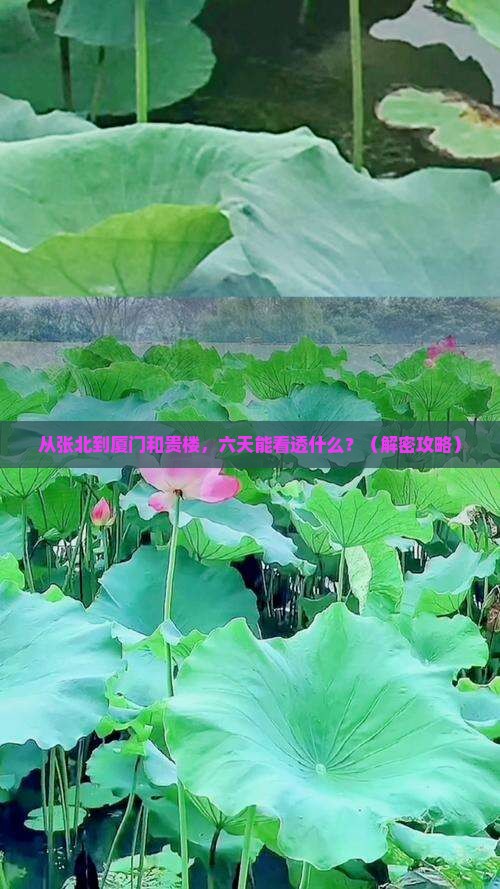 张北到厦门和贵楼六日游