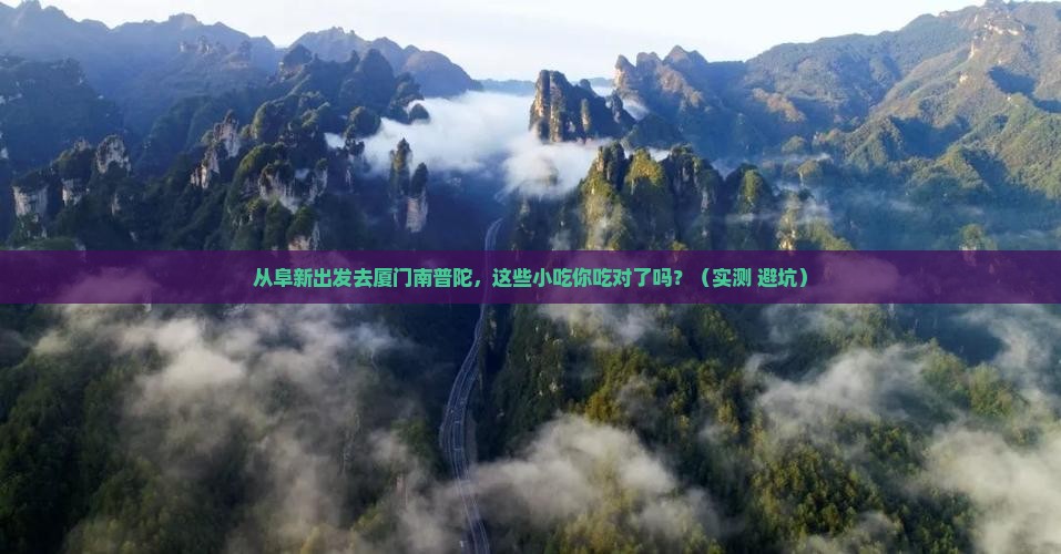 阜新去厦门南普陀旅游小吃