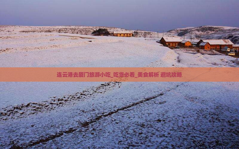连云港去厦门旅游小吃