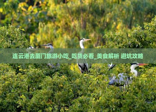 连云港去厦门旅游小吃