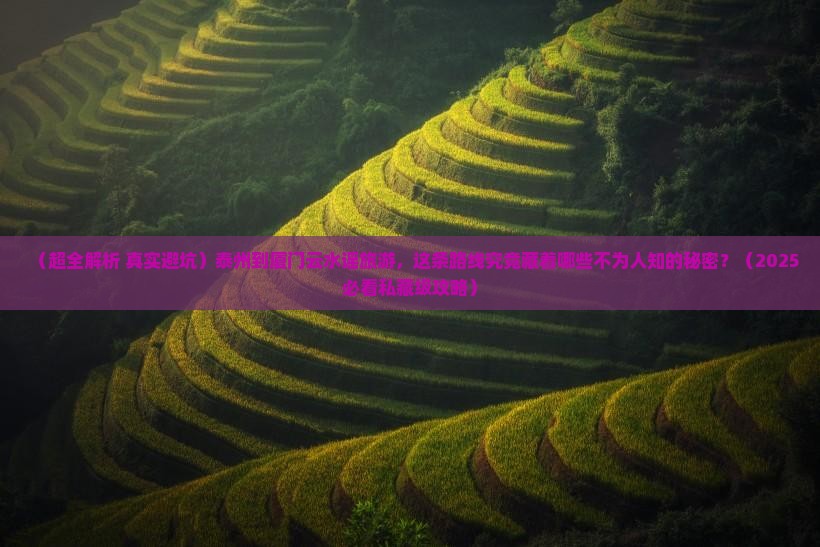 泰州到厦门云水谣旅游