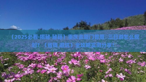 重庆去厦门曾厝埯三日游 重庆去厦门曾厝埯三日游