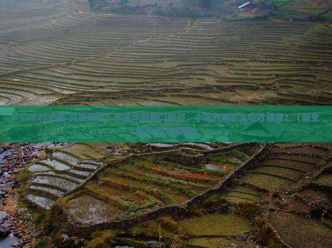 金华到厦门旅游小吃