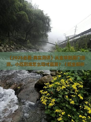 金华到厦门旅游小吃