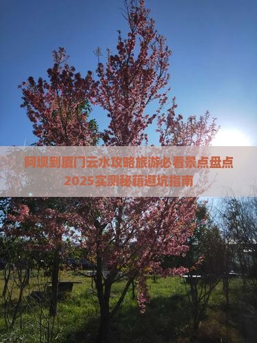 阿坝到厦门云水谣二日游