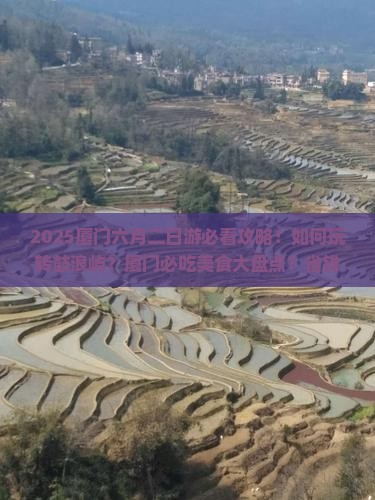六月到厦门二日游 六月到厦门二日游