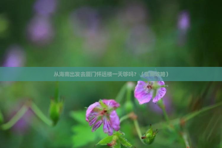 海南去厦门怀远楼一日