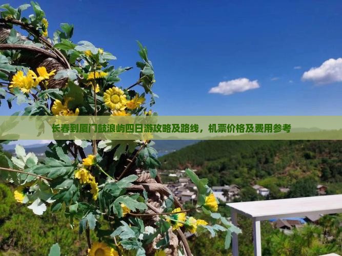 长春到厦门鼓浪屿四日游