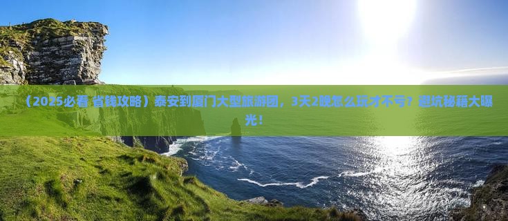泰安到厦门大型旅游团