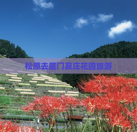 松原去厦门菽庄花园旅游